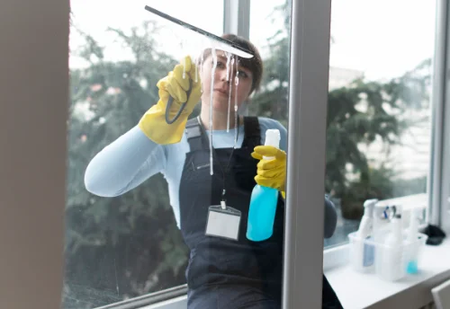Nettoyage de vitres intérieures et extérieures à Floing